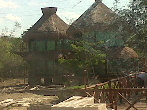 IMG00770-20120407-1536