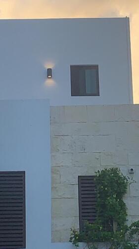 PHOTO-2021-03-31-19-20-08